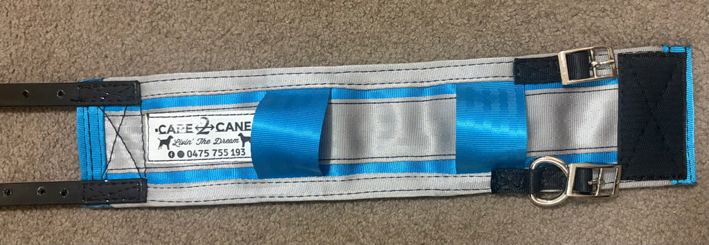 Cape 2 cane neck collar