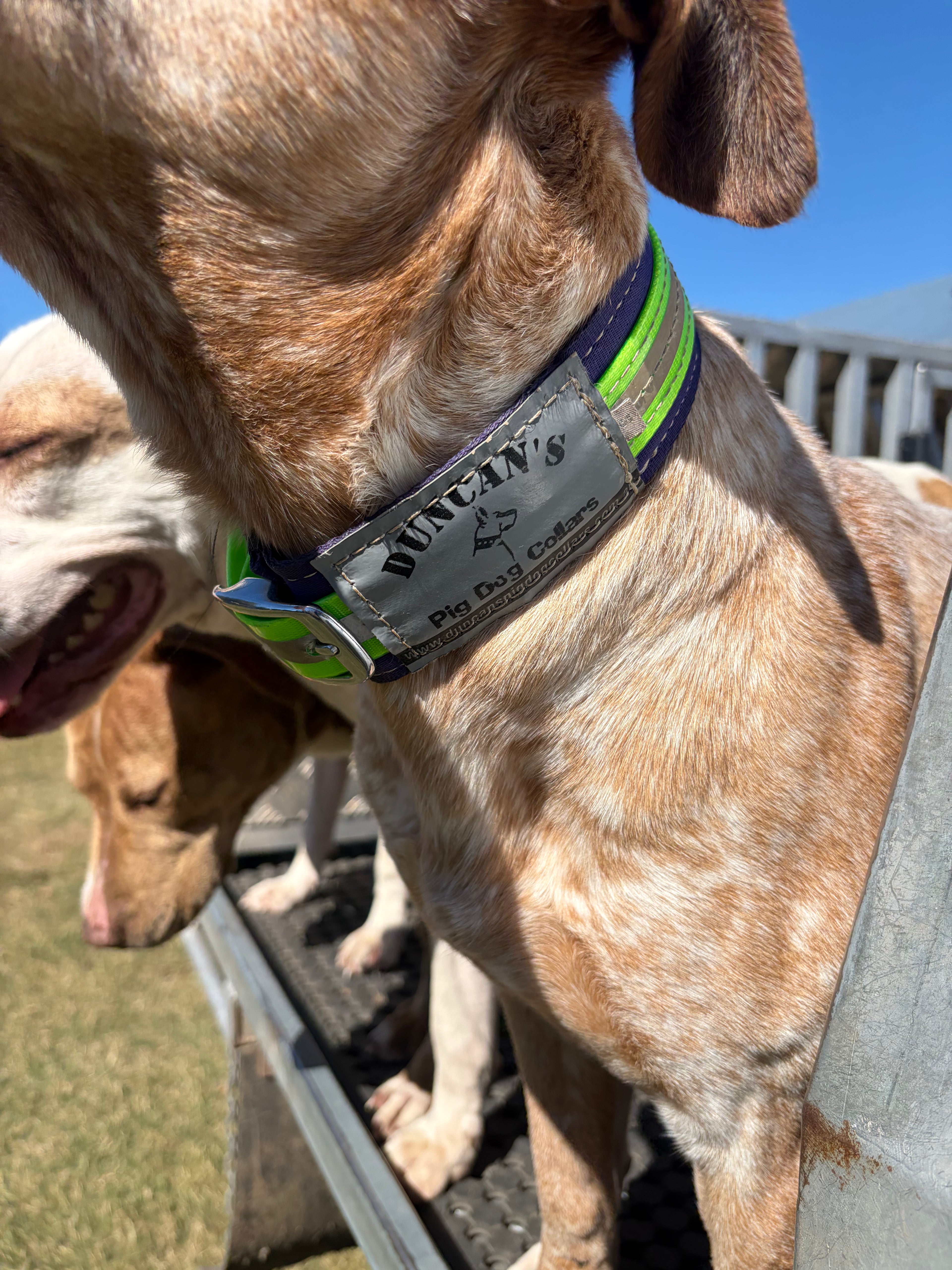 Duncan’s 50mm yard collar